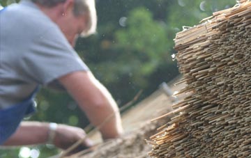 professional Queens Park thatchers